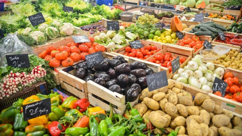 Daily Income Business in Telugu టాప్ 12 బిజినెస్ Ideas 5 Daily Income Business in Telugu - fruit shop