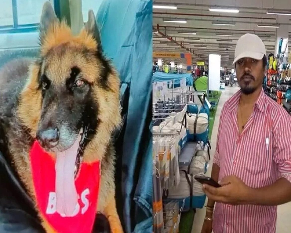 పెంపుడు కుక్క గొలుసుతోనే జీవితం ముగించిన యజమాని - మరణించిన పెంపుడు కుక్క కోసం దుఃఖం 4 పెంపుడు కుక్క గొలుసుతోనే జీవితం ముగించిన యజమాని